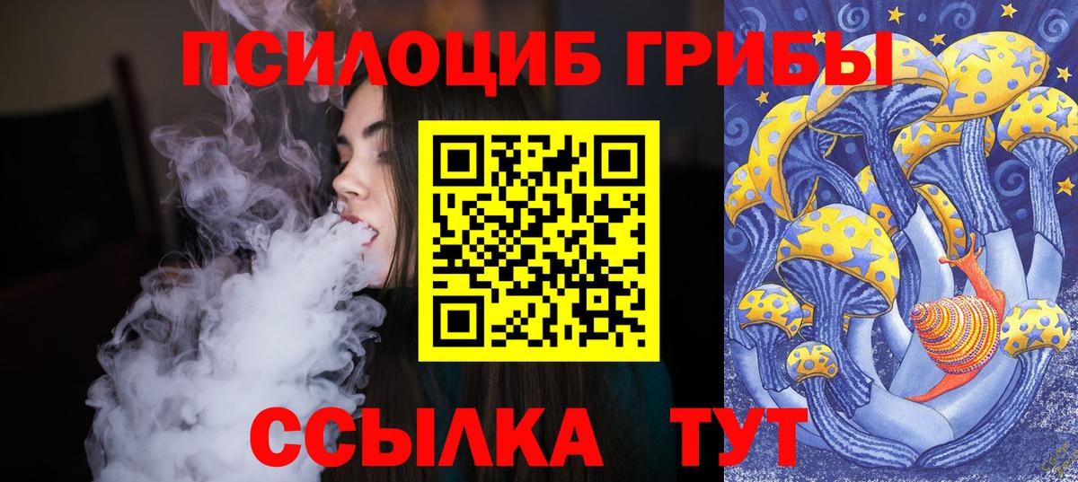 как найти   Вход с VPN  Новокубанск  Псилоцибиновые грибы мухоморы 