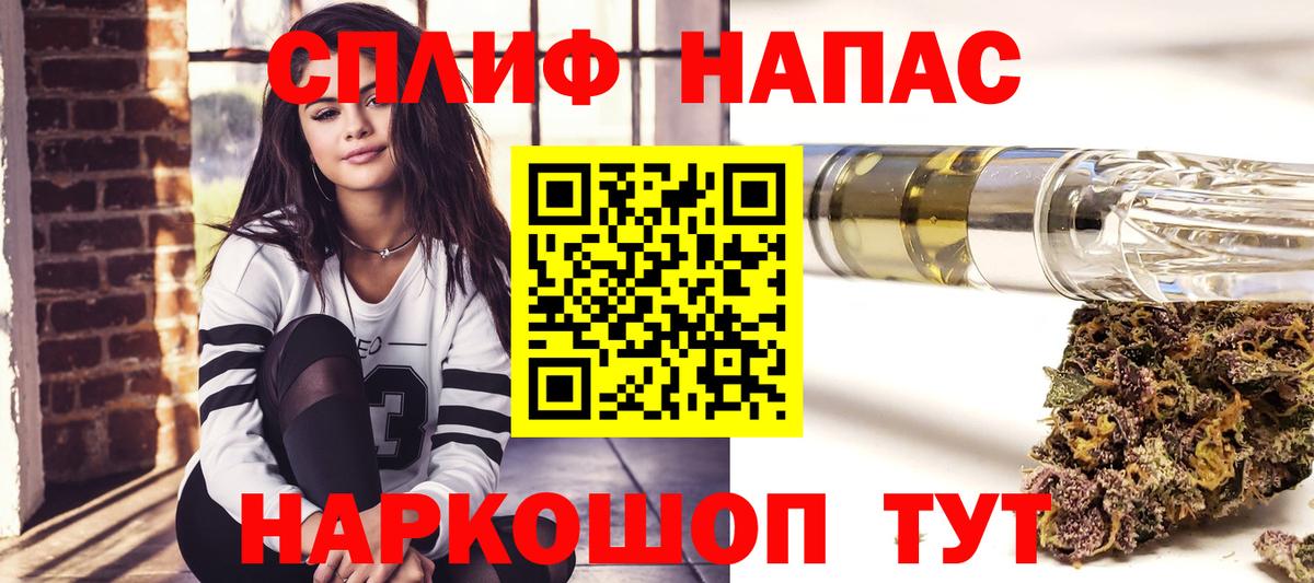 Конопля индика Новокубанск